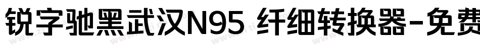 锐字驰黑武汉N95 纤细转换器字体转换